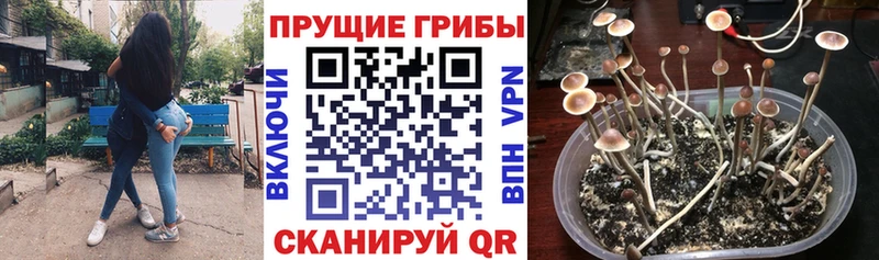 Псилоцибиновые грибы MAGIC MUSHROOMS Радужный